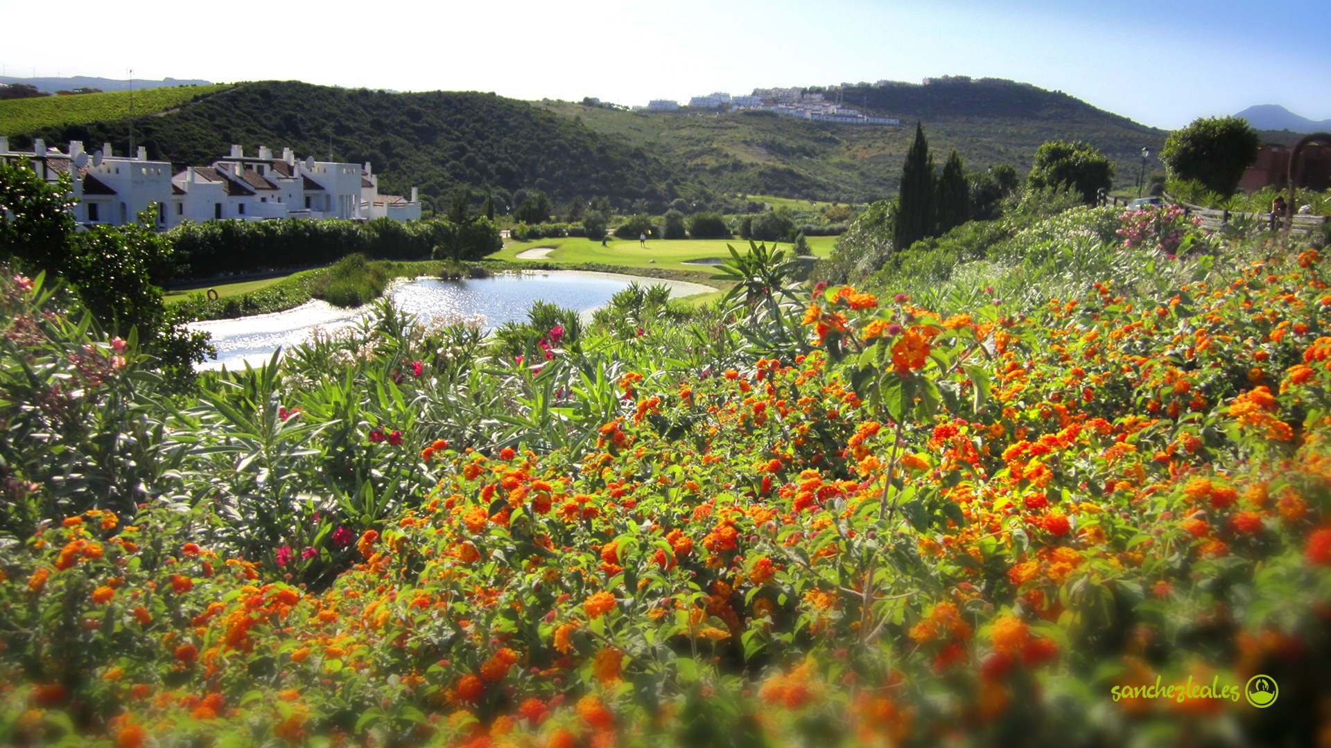 casares costa golf