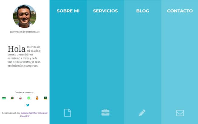desarrollo web profesional de golf chegun